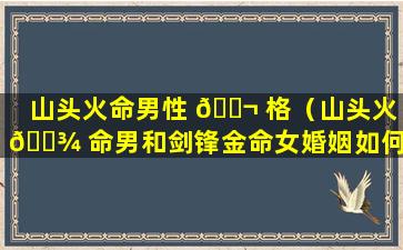 山头火命男性 🐬 格（山头火 🌾 命男和剑锋金命女婚姻如何）